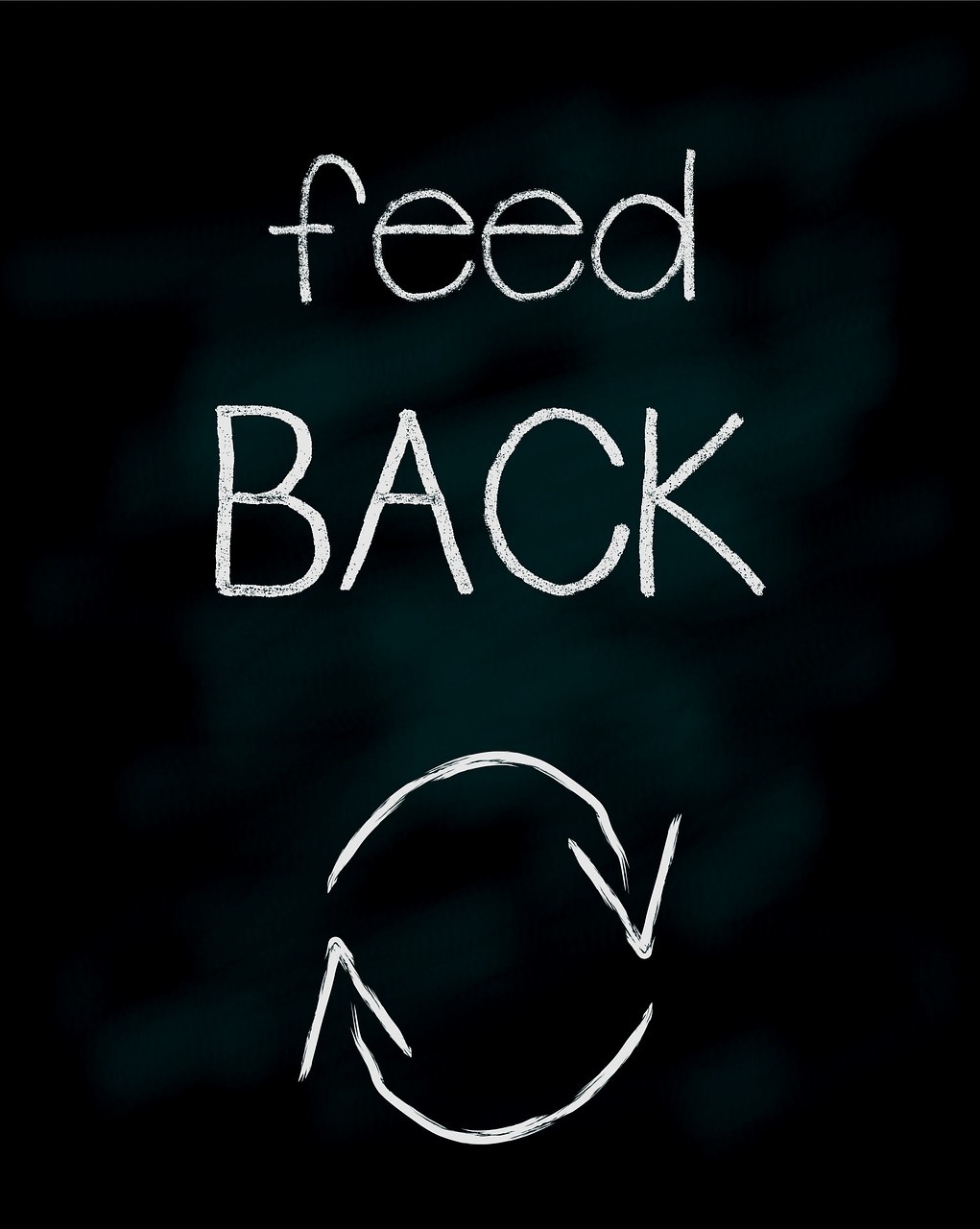 feedback-360